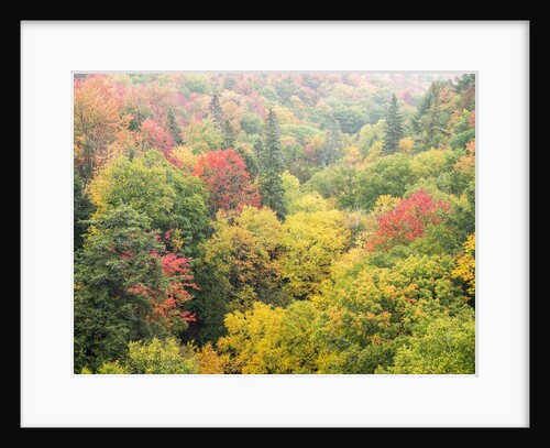 Valley below the Cut River Bridge with Lake Michigan on the other side of the bridge. by Anonymous