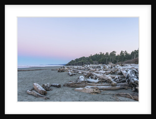 Kalaloch Beach Dawn by Anonymous