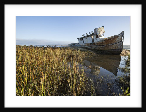 Point Reyes Shipwreck, Inverness, California by Anonymous