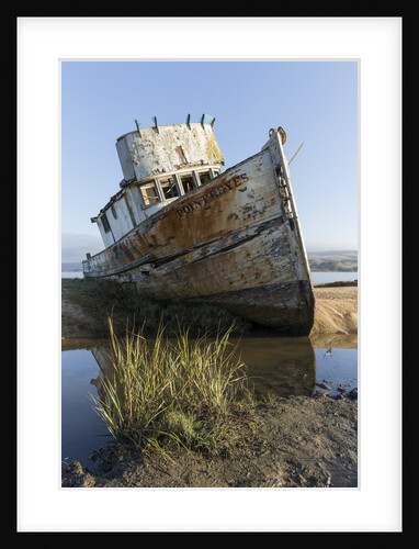 Point Reyes Shipwreck, Inverness, California by Anonymous
