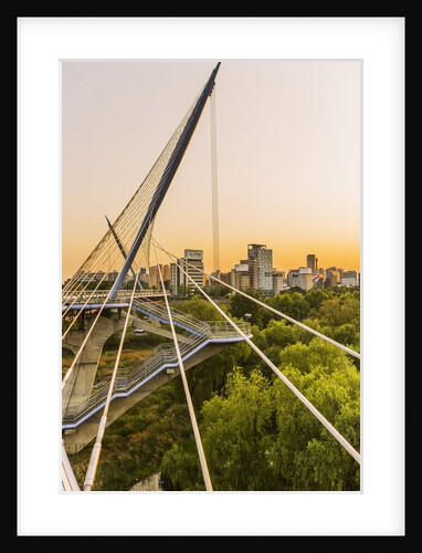 Yeouido, the Saetgang Ecological Park, a wild wetland among the skyscrapers, the Saetgang Bridge (footbridge) by Anonymous