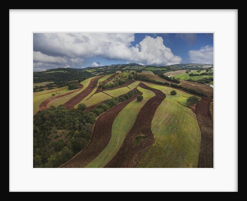 Working a field near Manciano, air view by drone by Anonymous