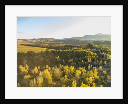 Orcia river near Pienza, air view by drone by Anonymous