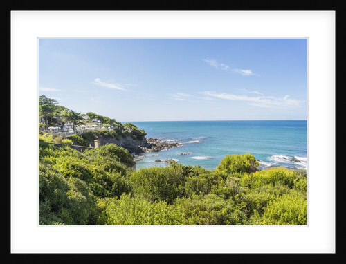 Quercianella, the coast and the beach by Anonymous
