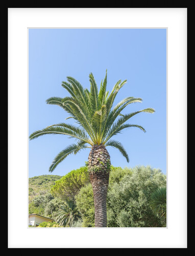 Pozzarello, near Porto Santo Stefano by Anonymous