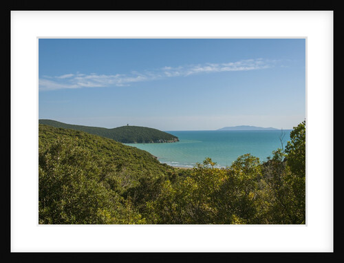 Parco Regionale della Maremma (parco dell'Uccellina) by Anonymous