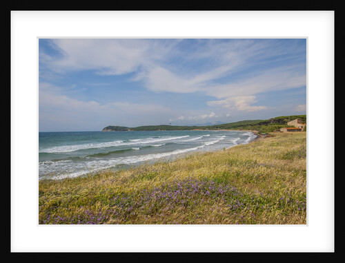 Baratti gulf by Anonymous