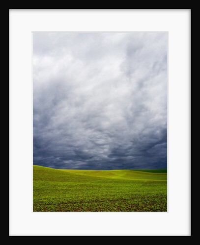 Spring Field of Peas With Storm Coming by Anonymous