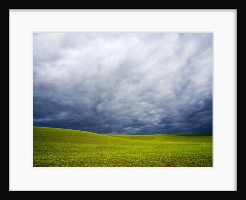 Spring Field of Peas With Storm Coming by Anonymous