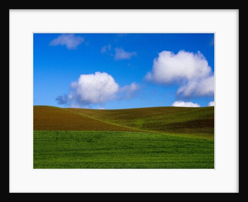 Spring Wheat Field and Clouds by Anonymous