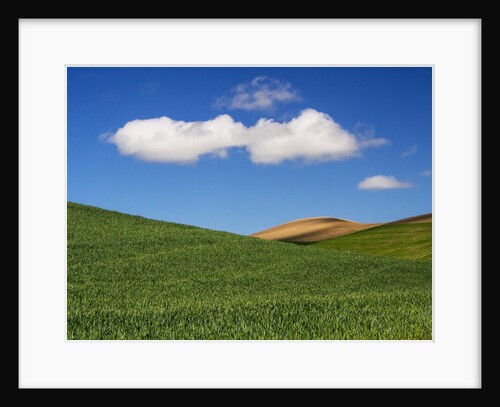 Spring Wheat Field and Clouds by Anonymous