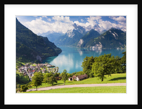 Lake Lucerne by Anonymous