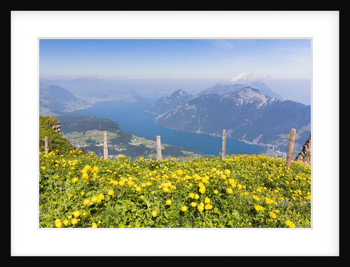 Lake Lucerne by Anonymous
