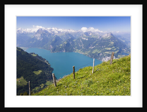 Lake Lucerne by Anonymous
