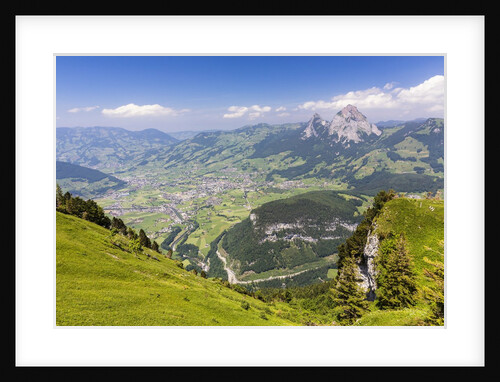 View from Mount Fronalpstock by Anonymous