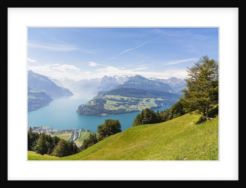 Lake Lucerne by Anonymous