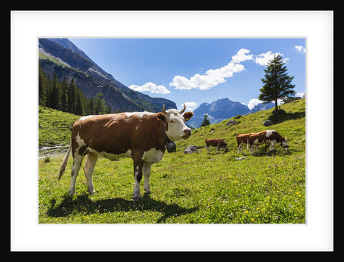Lake Oeschinensee by Anonymous