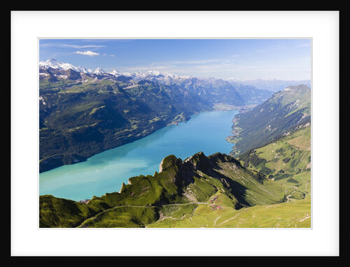 Lake Brienzersee by Anonymous