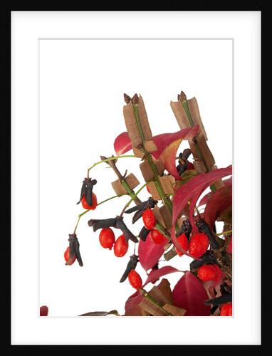 bonsai leaves by Anonymous