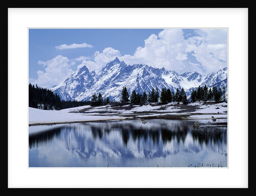 Grand Teton Reflected in Lake by Anonymous