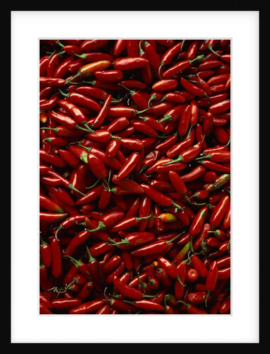 Abundance of Red Chilies by Anonymous