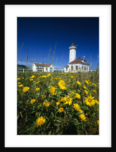 Wildflowers Blooming Near Lighthouse by Anonymous