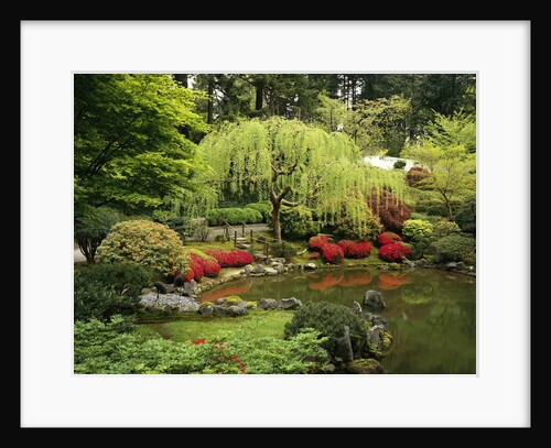 Japanese Garden Pond by Anonymous