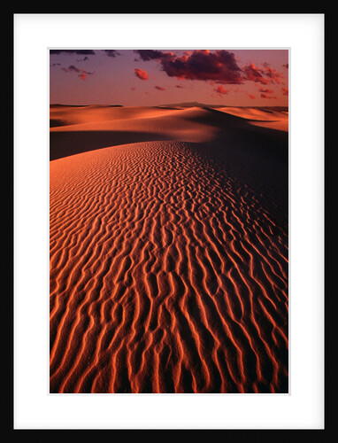 White Sands National Monument by Anonymous