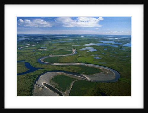Tundra in Alaska by Anonymous