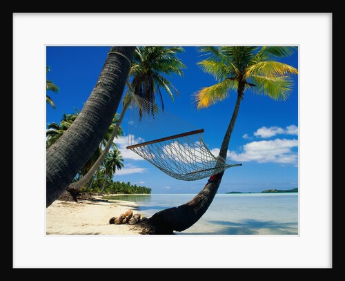 Hammock Hanging Seaside by Anonymous
