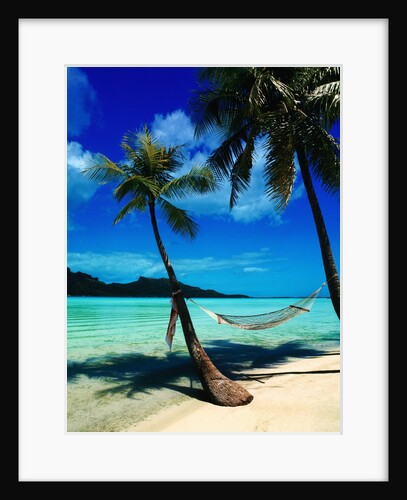 Hammock Hanging Seaside by Anonymous