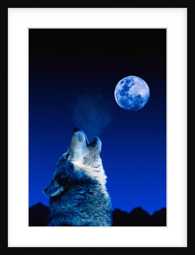 Wolf Howling at the Moon by Anonymous