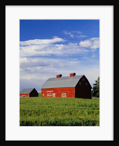 Old Red Barn in Field by Anonymous