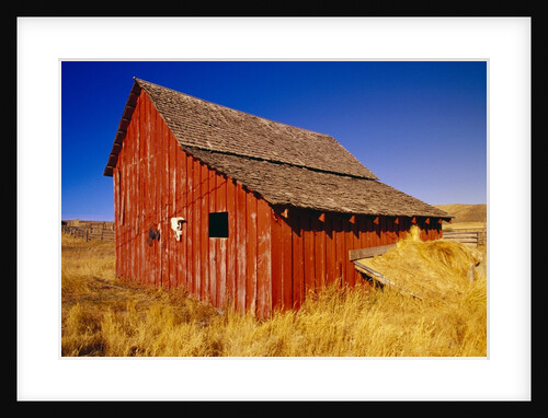 Weathered Old Barn on Ranch by Anonymous