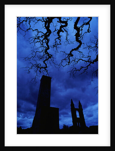 St. Andrew's Cathedral Under Gloomy Sky by Anonymous
