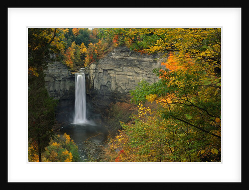 Waterfall Amongst Autumn Foliage by Anonymous