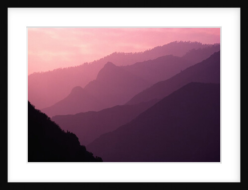 Foggy Hills in Sequoia National Park by Anonymous
