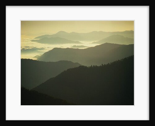 Great Smoky Mountains by Anonymous