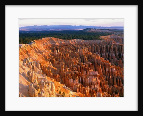 Bryce Amphitheater by Anonymous