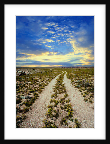 Dirt Road in Grand Canyon National Park by Anonymous