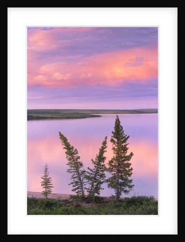 Calm Lake Reflecting Pink Clouds by Anonymous