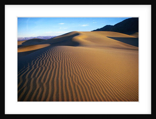 Sand Dunes in Death Valley by Anonymous