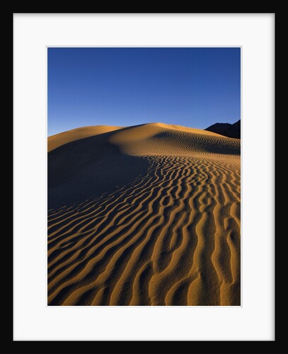 Sand Dunes in Death Valley by Anonymous