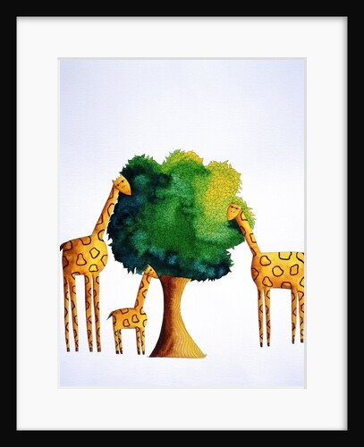 Giraffes Eating from Tree by Anonymous