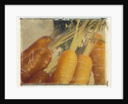 Carrots by Jennifer Kennard