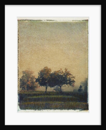 Sheep Meadow by Jennifer Kennard