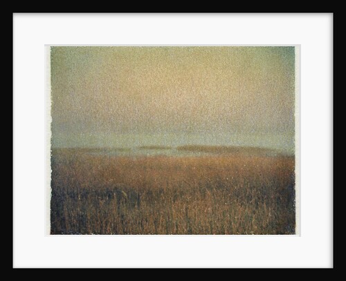 Eastham Marsh by Jennifer Kennard