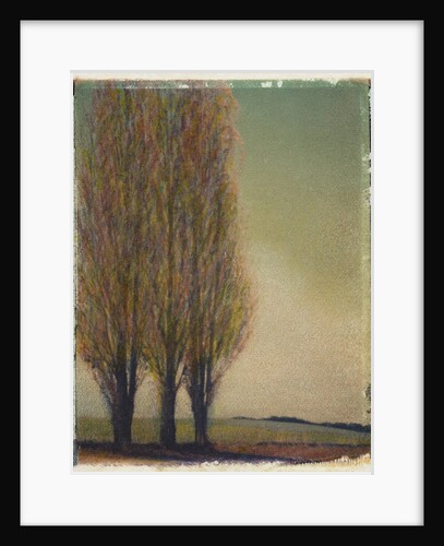Three Poplars by Jennifer Kennard