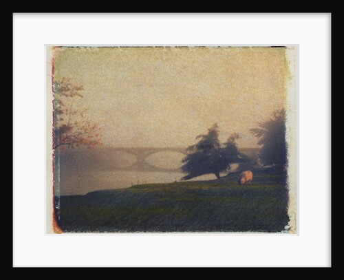 Sheep Grazing by Jennifer Kennard