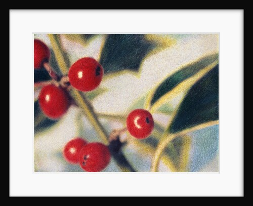 Holly with Berries by Jennifer Kennard